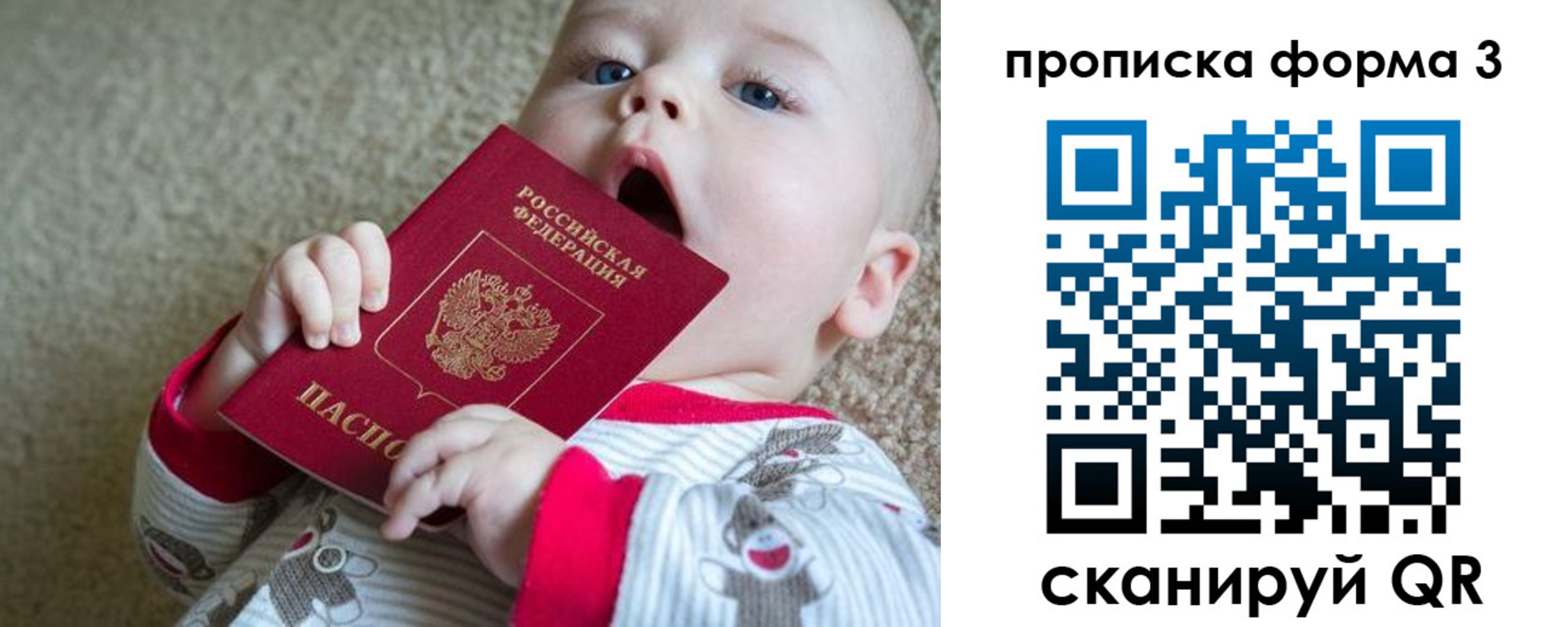 прописка паспорт в Калининграде